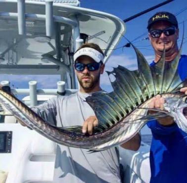 Alepisaurus (Lancetfish) – rodzaj morskich ryb skrzelokształtnych z rodziny żaglonowatych (Alepisauridae)