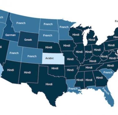 Dominujący język lekarzy (po angielskim i hiszpańskim) według stanów USA