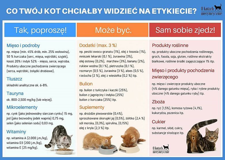 Kocie karmy