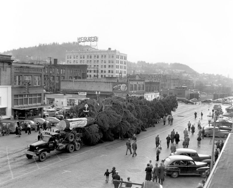 Największe na świecie drzewko choinkowe, Bellingham, Waszyngton, 1949