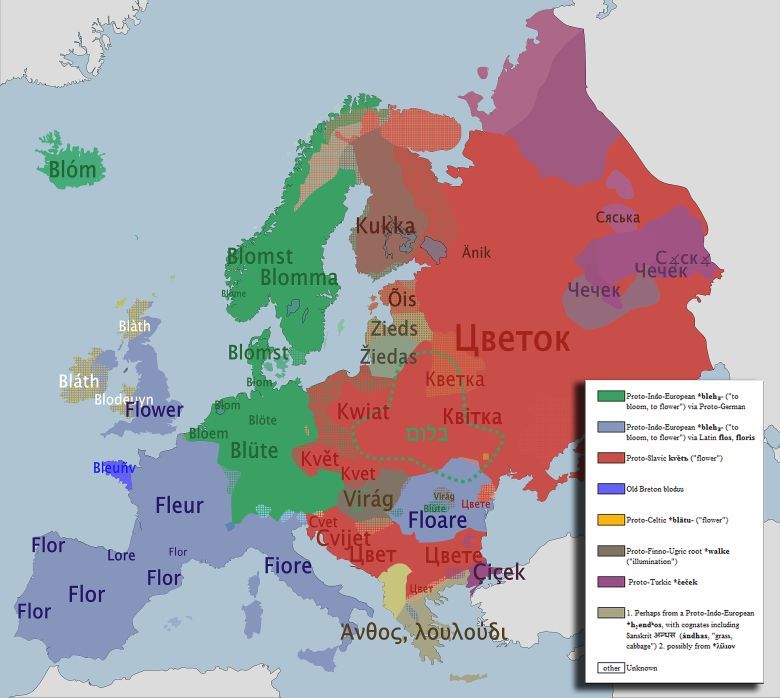 Słowo kwiat w różnych europejskich językach