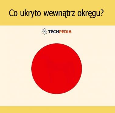 Co ukryto wewnątrz okręgu?