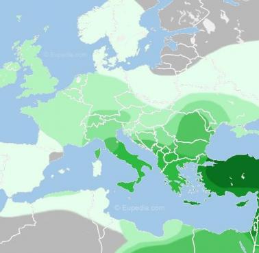 Domieszka zachodnioazjatycka w Europie (ciemniejszy kolor zielony = genetycznie bliższy populacjom zachodnioazjatyckim)