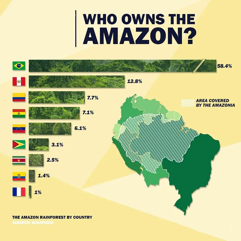 Do których państw należy Amazonia?