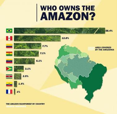 Do których państw należy Amazonia?