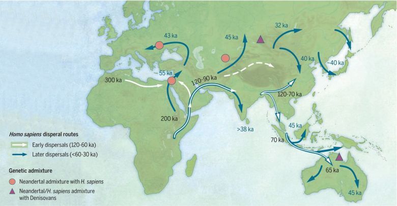 Rozprzestrzenianie się gatunku homo sapiens (migracje)