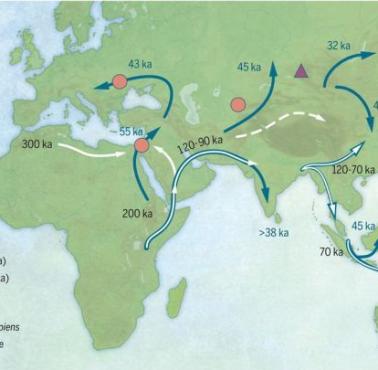Rozprzestrzenianie się gatunku homo sapiens (migracje)