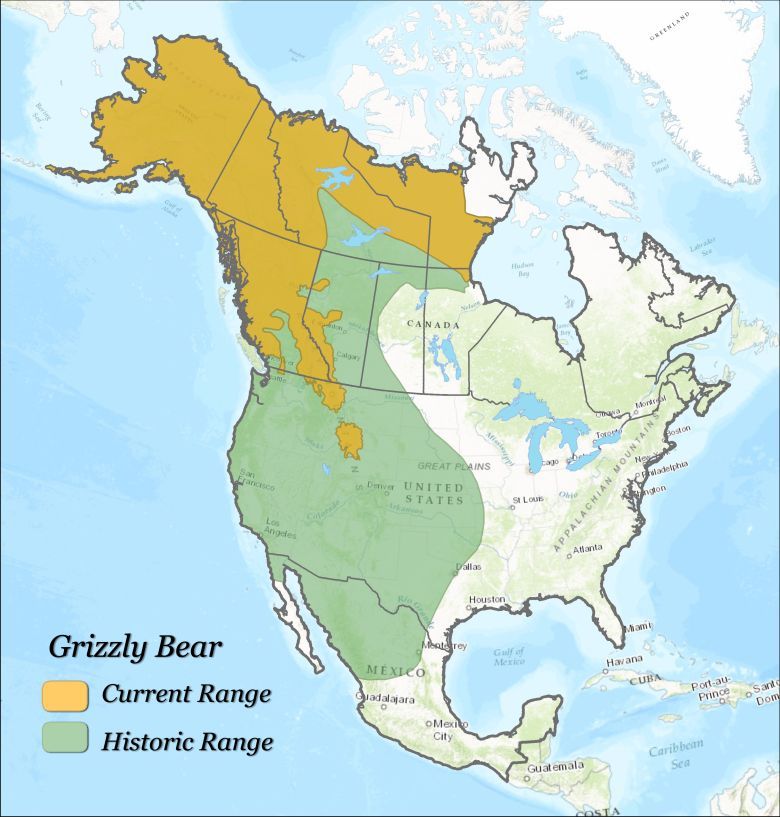 Historyczny i aktualny zasięg występowania niedźwiedzia grizzly w Ameryce Północnej
