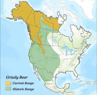 Historyczny i aktualny zasięg występowania niedźwiedzia grizzly w Ameryce Północnej