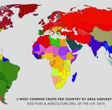 Dwie najpopularniejsze rośliny uprawne w poszczególnych krajach według powierzchni zbiorów, 2020