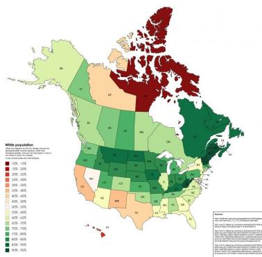 Biała populacja w USA i Kanadzie