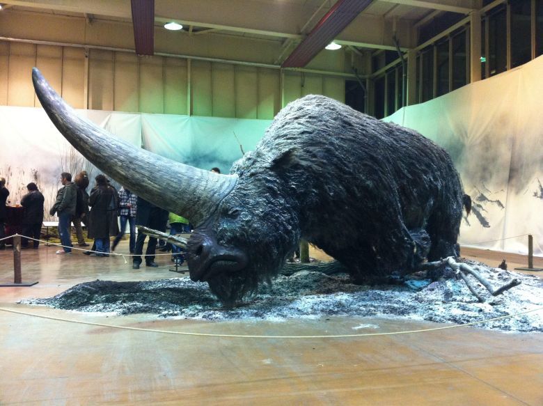 Elasmoterium (Elasmotherium sibiricum) – prehistoryczny gigantyczny nosorożec, który żył na Ziemi 1 mln - 10 tys. lat temu