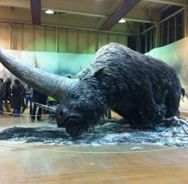 Elasmoterium (Elasmotherium sibiricum) – prehistoryczny gigantyczny nosorożec, który żył na Ziemi 1 mln - 10 tys. lat temu