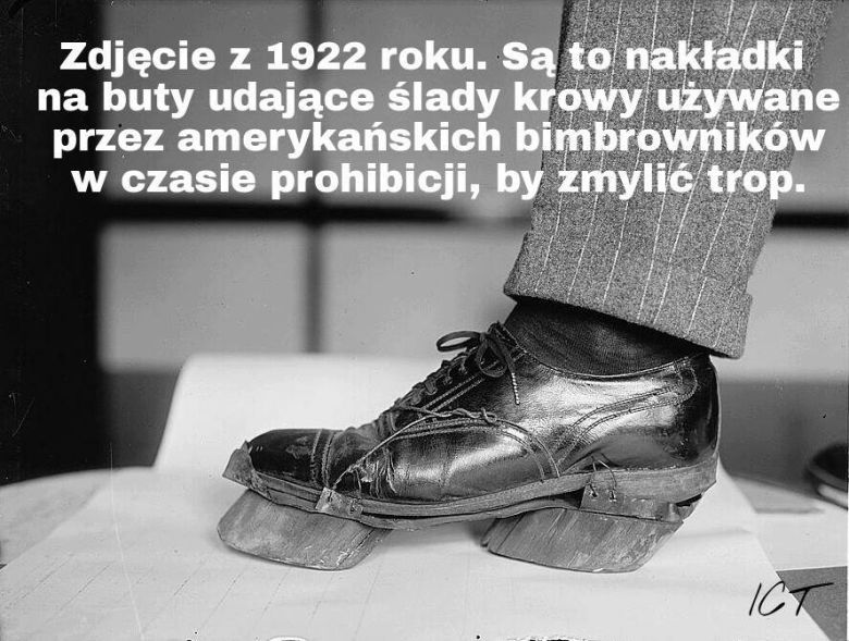 Buty specjalnego przeznaczenia, które miały udawać ślady krowy, 1922