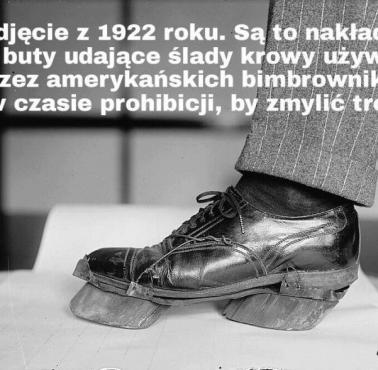 Buty specjalnego przeznaczenia, które miały udawać ślady krowy, 1922