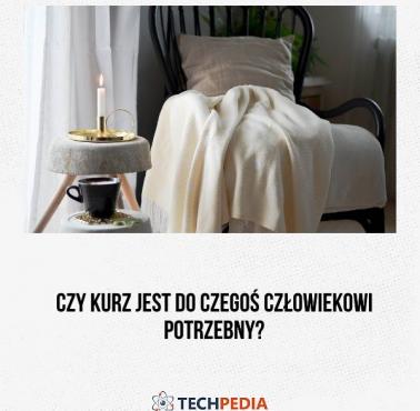 Czy kurz jest do czegoś człowiekowi potrzebny?