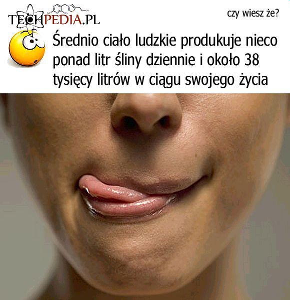 Ślina
