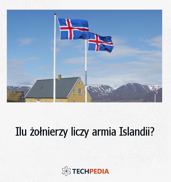Ilu żołnierzy liczy armia Islandii?