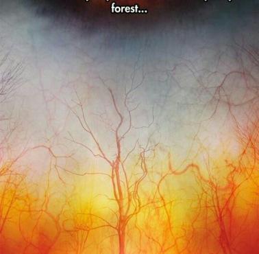 Ludzkie oko z bliska wygląda jak spalony las
