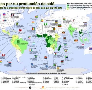 Producenci kawy na całym świecie