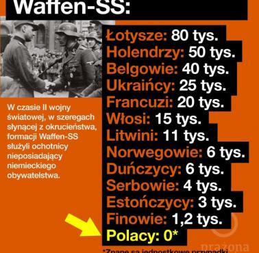 Członkowie i wolontariusze Waffen-SS wg liczb i pochodzenia