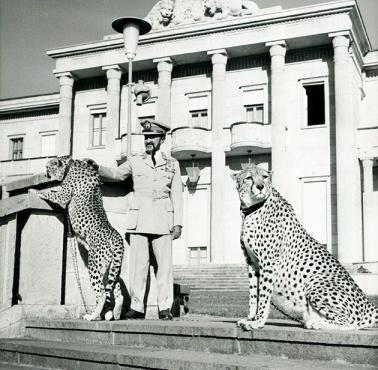 Cesarz Hajle Syllasje I pozuje z gepardami w Pałacu Jubileuszowym w Addis Abebie, Etiopia, 1962