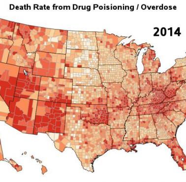 Wskaźnik umieralności z powodu narkotyków, USA, 2014