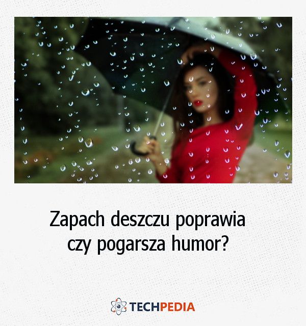 Zapach deszczu poprawia czy pogarsza humor?