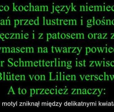 Piękny język :)