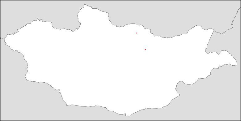 Połowa Mongołów żyje na czerwonym obszarze