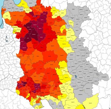 Etniczni Polacy na Kresach dawnej Rzeczpospolitej w II połowie XIX wieku