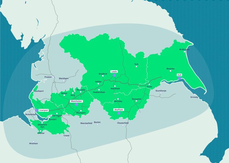 Plan zasadzenia 50 mln drzew w Wielkie Brytanii