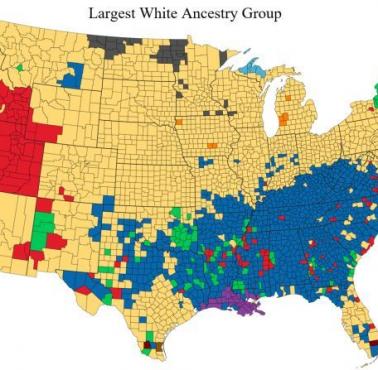 Największe grupy przodków pochodzenia nielatynoskiego według okręgów, USA