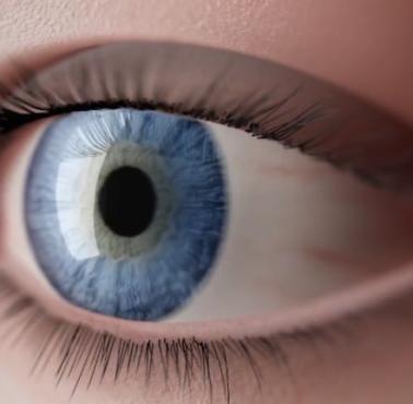 Anatomia ludzkiego oka (wideo HD)