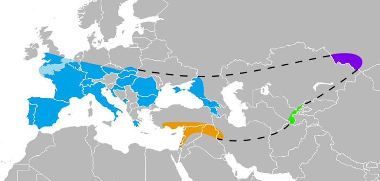 Zasięg występowania Neandertalczyka