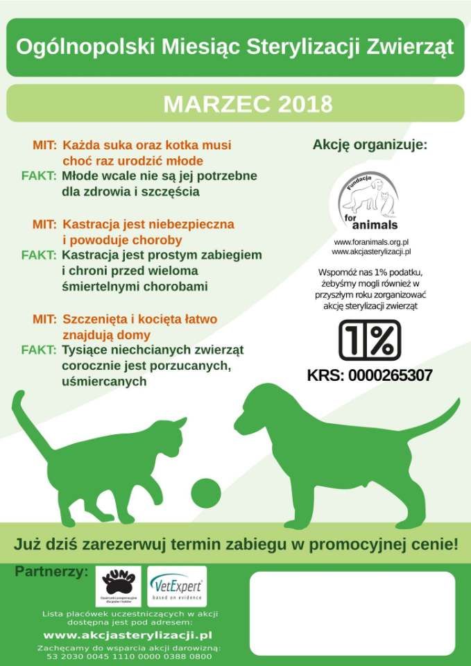 Fakty i mity dotyczące sterylizacji zwierząt