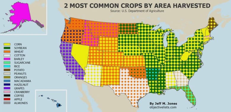 Dominujące uprawy w USA