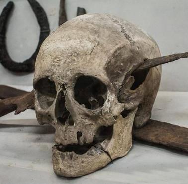 Czaszka rzymskiego żołnierza, który zginął podczas wojen galijskich 58-51 p.n.e, muzeum Rocsen, Argentyna