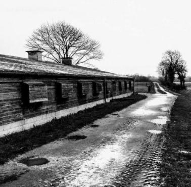 Jedna z pierwszych opublikowanych fotografii niemieckiego obozu koncentracyjnego Auschwitz, 1945