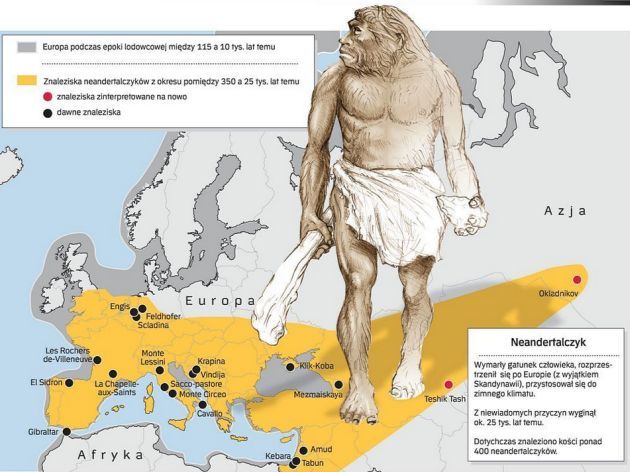 Dlaczego neandertalczycy wymarli?