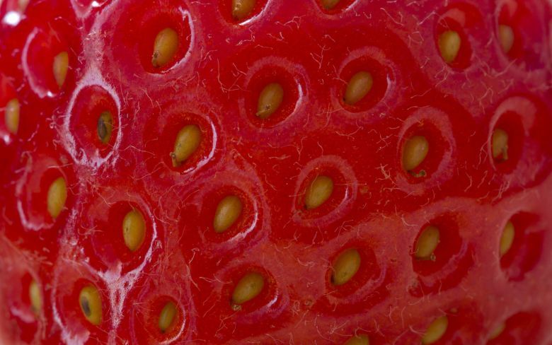 Co znajduje się na zdjęciu? Odpowiedź pod fotografią