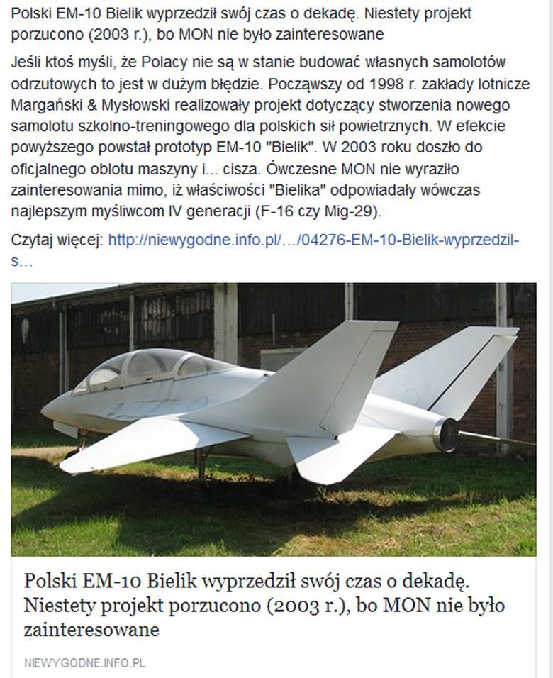 Polski EM-10 Bielik wyprzedził swój czas o dekadę. Niestety projekt porzucono (2003 r.)