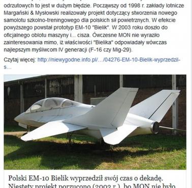 Polski EM-10 Bielik wyprzedził swój czas o dekadę. Niestety projekt porzucono (2003 r.)