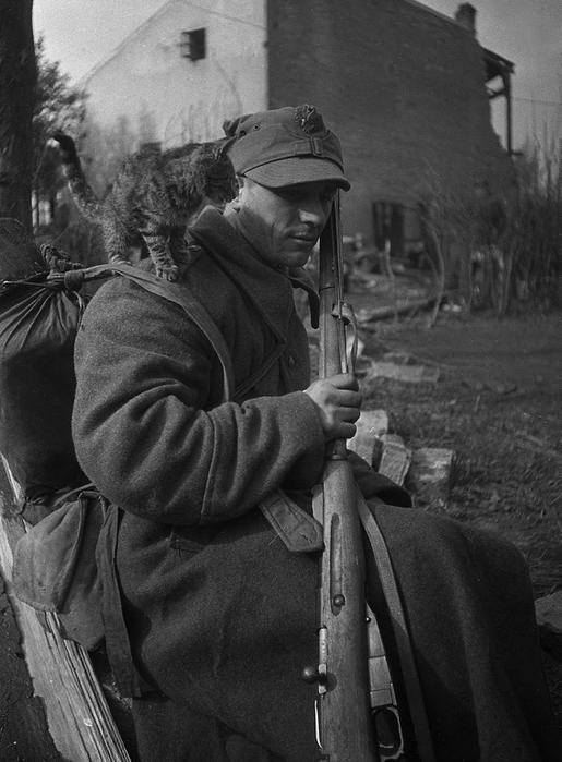 Polski żołnierz z 1. Dywizji Piechoty im. Tadeusza Kościuszki, 1944