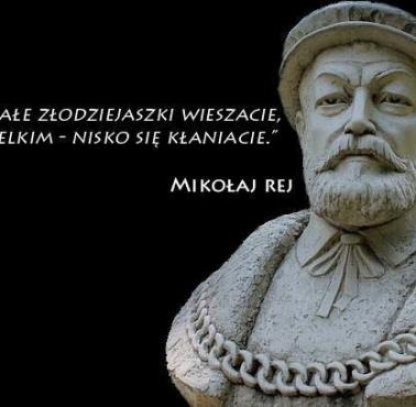 "Małe złodziejaszki wieszacie, wielkim – nisko się kłaniacie" Mikołaj Rej