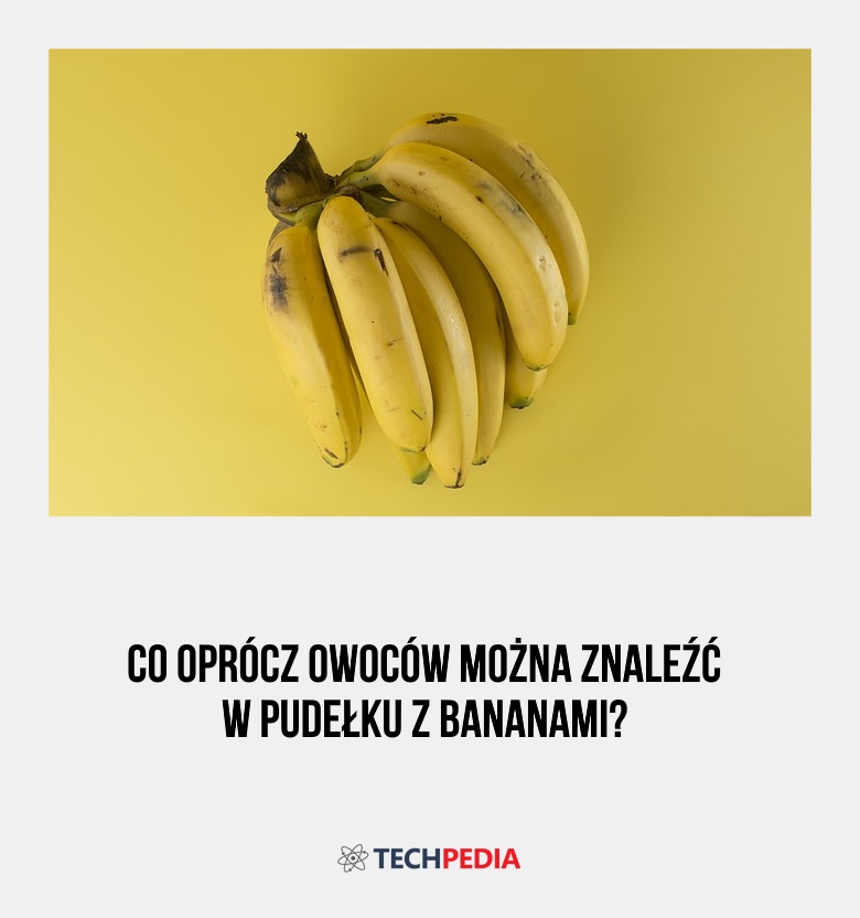 Co oprócz owoców można znaleźć w pudełku z bananami?