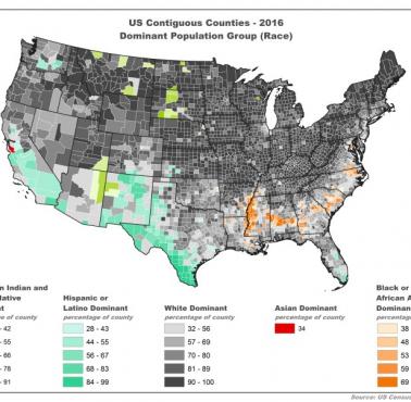 Rasowa mapa USA, 2016