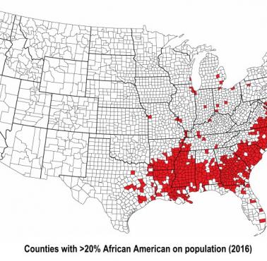 Okręgi, w których mieszka ponad 20 proc. Amerykanów pochodzenia afrykańskiego, 2016