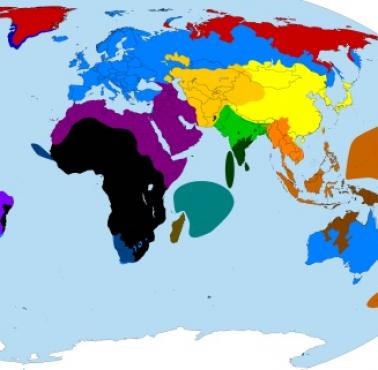 Średnie długości penisa w różnych krajach