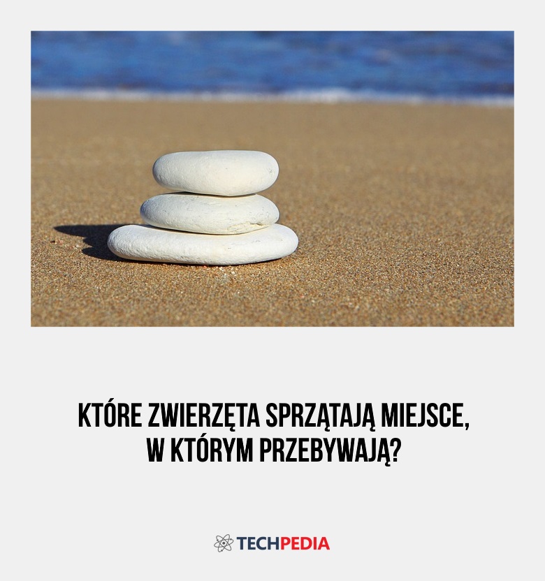 Które zwierzęta sprzątają miejsce, w którym przebywają?